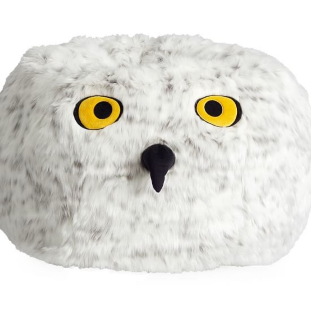 Hedwig Pottery Barn Beanbag Cover